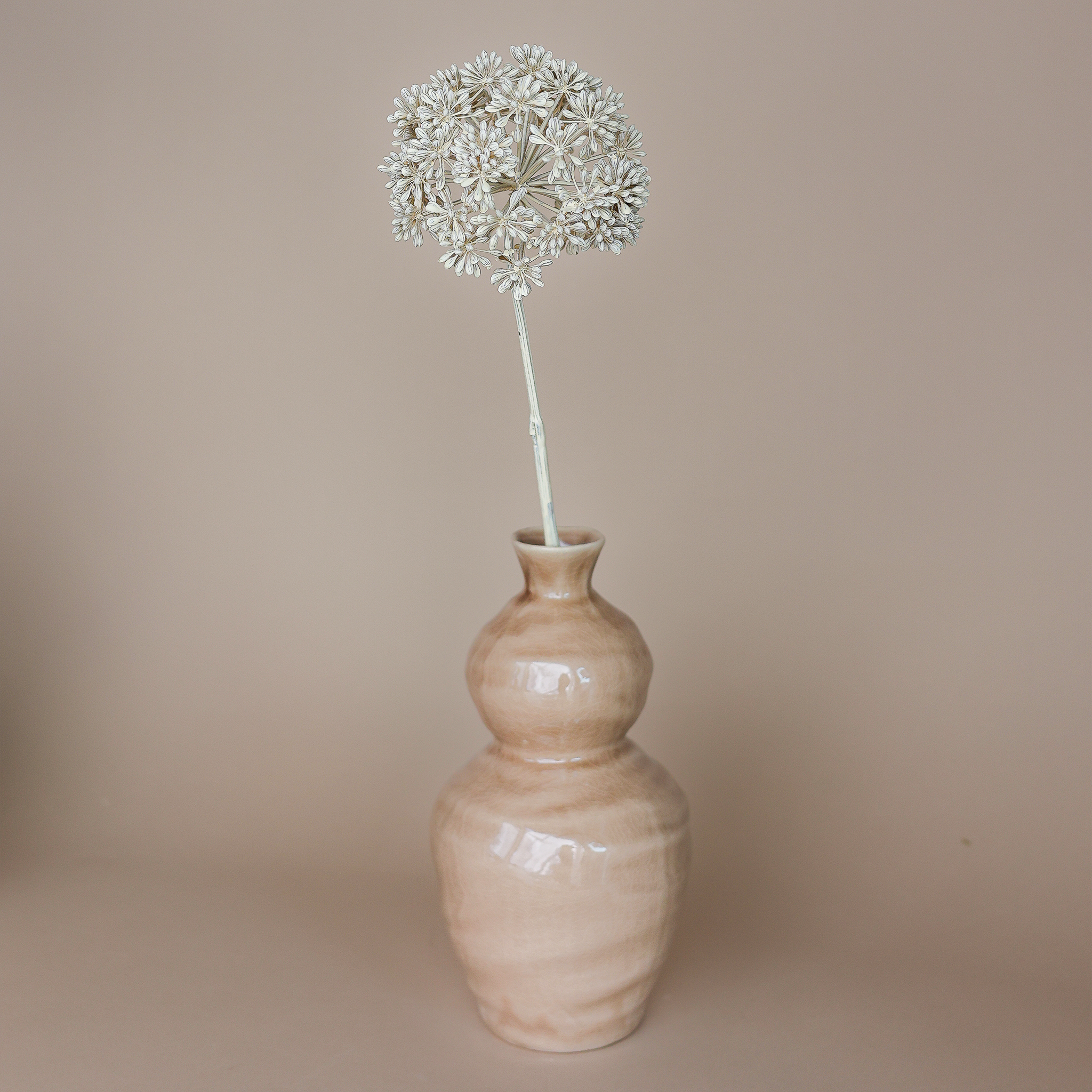 Vase Keramik Eukalyptus 14x28cm Design Fritz & – Felipa Blüte Set hellbraun